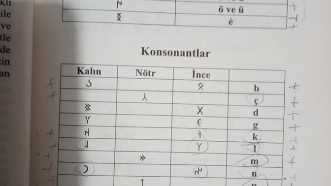 Bu alfabe ve Latin alfabesi benziyor mu?