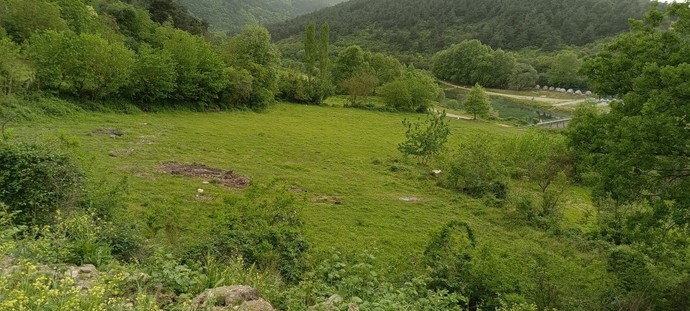 Galerinizdeki son fotoğrafı paylaşın burada?