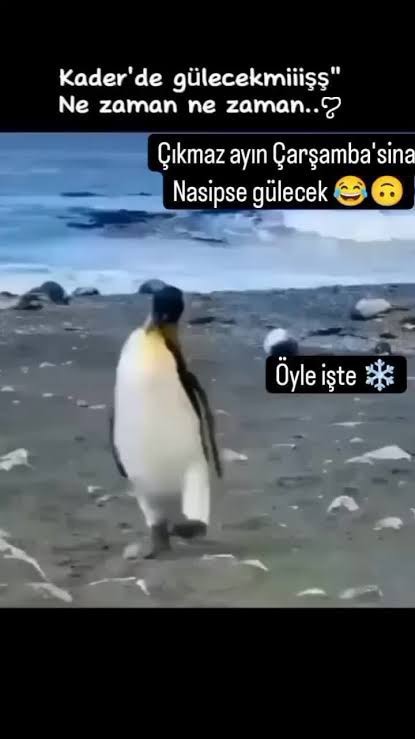 Çıkmaz ayın son Çarşambasında, ne yapmayı düşünüyorsunuz?