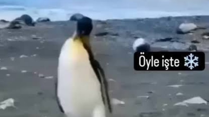 Çıkmaz ayın son Çarşamba'sında, ne yapmayı düşünüyorsunuz?