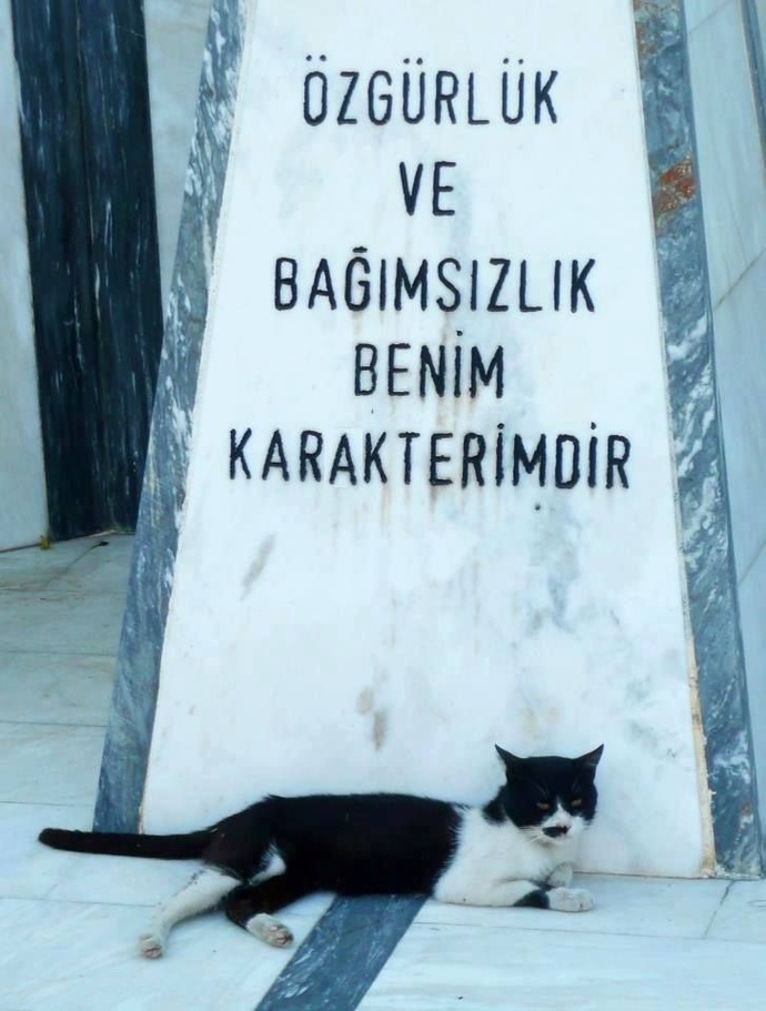Özgürlüğünüze düşkün müsünüz?