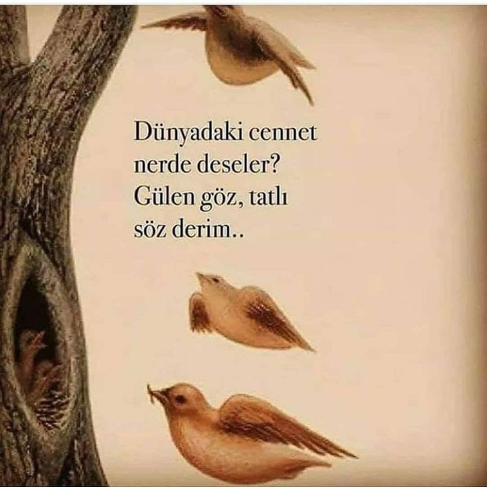 Bugün gece 12ye kadar bir şarkı olsaydınız hangisi olurdunuz?