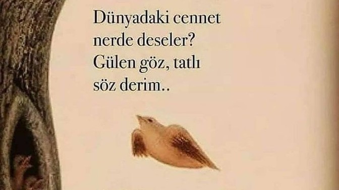 Bugün gece 12'ye kadar bir şarkı olsaydınız hangisi olurdunuz?
