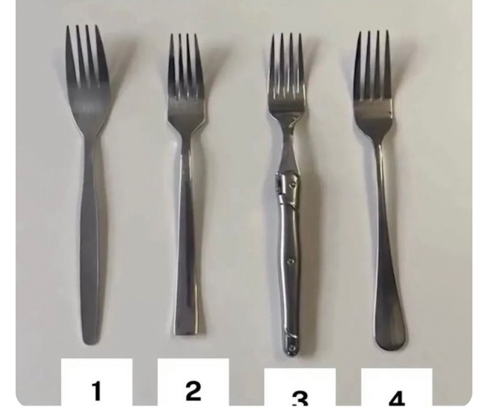 Hangi çatalı kullanmayı tercih ederseniz?