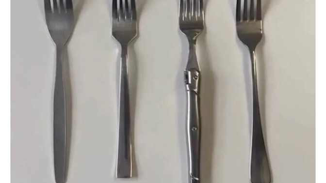 Hangi çatalı kullanmayı tercih ederseniz?