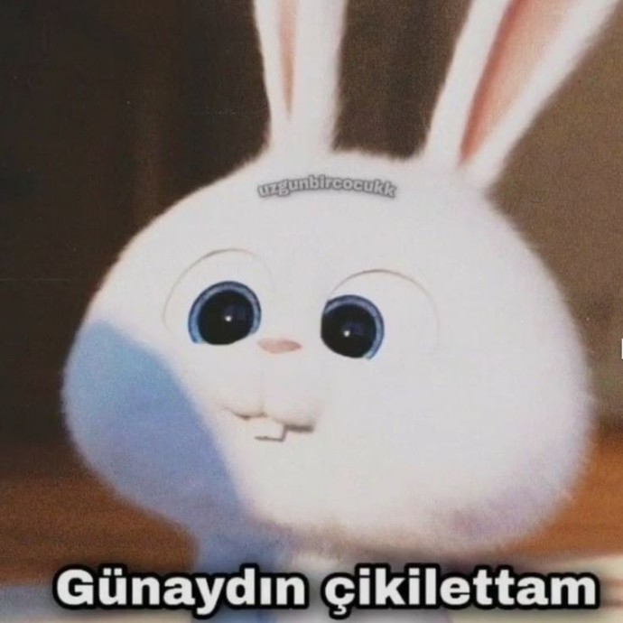 Sevgiliniz günaydın mesajı atmayınca gününüz aymıyor mu?