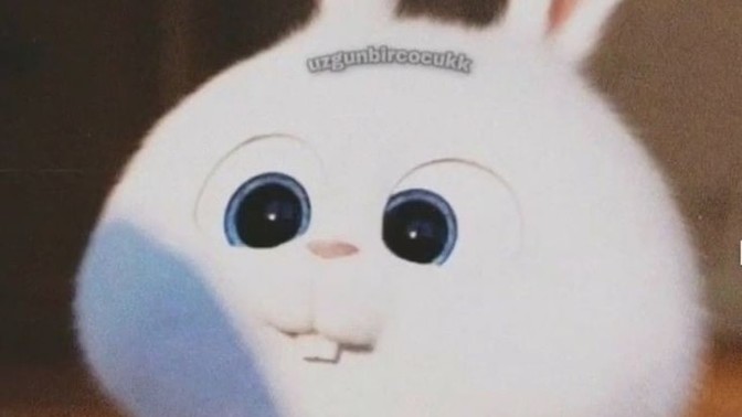 Sevgiliniz günaydın mesajı atmayınca gününüz aymıyor mu?