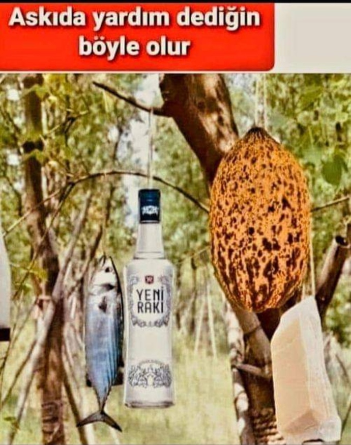 Ne tür yardımlar yapmayı seviyor sunuz?