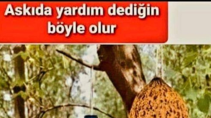 Ne tür yardımlar yapmayı seviyor sunuz?