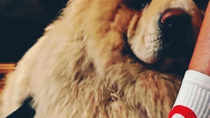 Hangi duygun yüzüne daha çok yansıyor🥰?