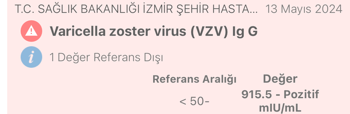 BİLEN BİRİ BAKABİLİR Mİ?