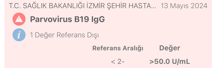 BİLEN BİRİ BAKABİLİR Mİ?