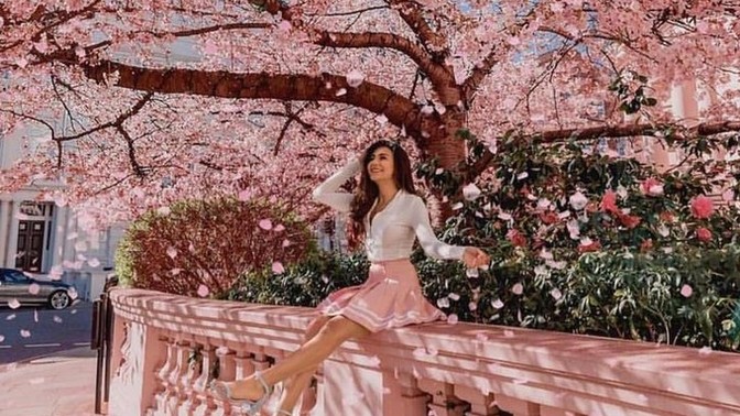 Ne olursa içinizde sakura festivali başlar?