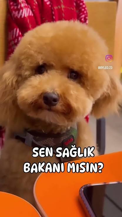 Hey ahali kalbiniz ne durumda?