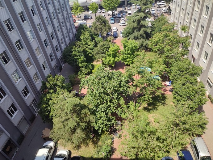 Telefonla çektiğiniz son iki fotoğraf nedir?