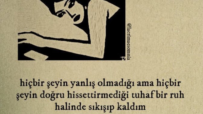 Gecenize hakim olan his nedir?