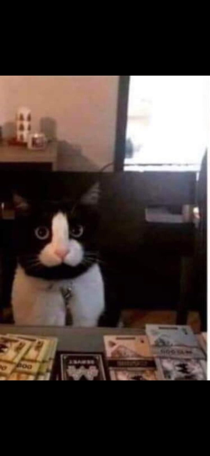 Baktığım her yerde sen varsın dediğiniz ne var?