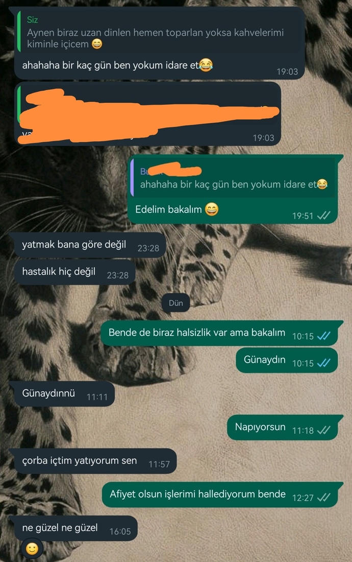 Flört ettiğim adama biz şimdi neyiz dedim uzaklaştı en son aşağıdaki konuşmayı gerçekleştirdik sizce yarın mesaj atsam mı?