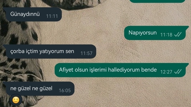 Flört ettiğim adama biz şimdi neyiz dedim uzaklaştı en son aşağıdaki konuşmayı gerçekleştirdik sizce yarın mesaj atsam mı?