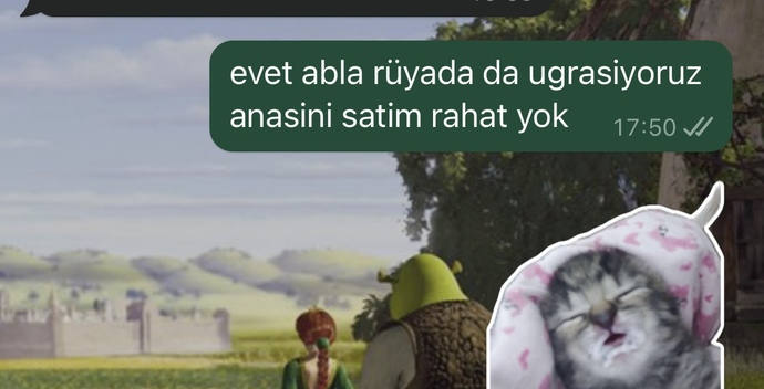Bari rüyâlarıma gel, dediğiniz kim var🌙⭐️?