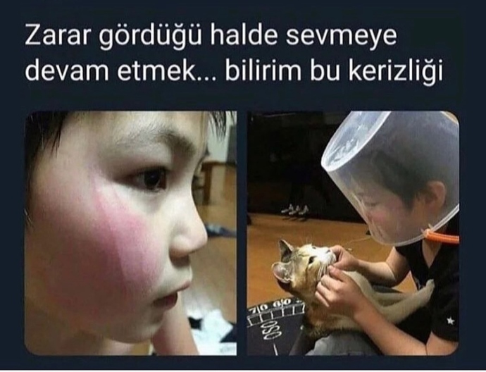 Zarar gördüğünüz halde sevmeye devam eder misiniz?