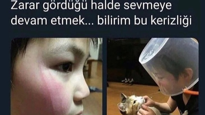 Zarar gördüğünüz halde sevmeye devam eder misiniz?