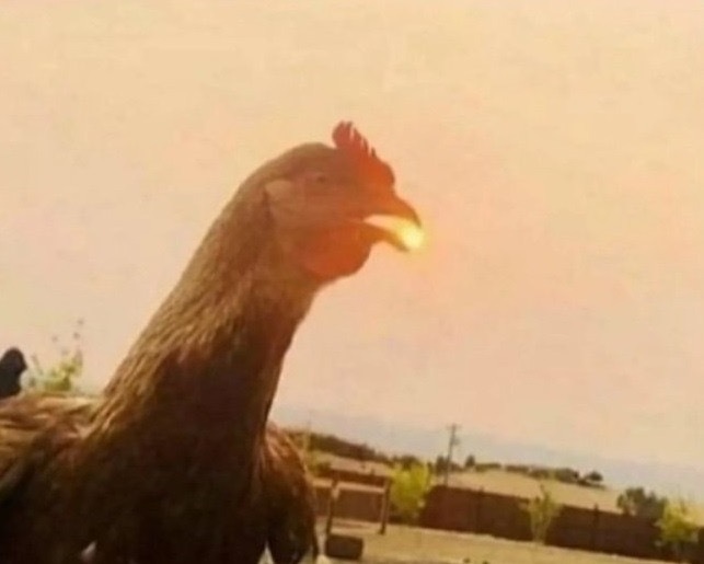 Güneşi gülüşüne sığdıran birileri var mı hayatınızda?