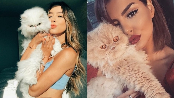 Kedilerle aran nasıl 😻?