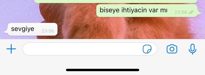 Sizin en çok neye ihtiyacınız var?