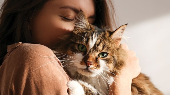 Kedi ile uzun yola çıkılır mı?