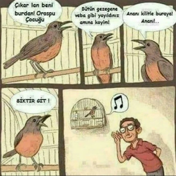 Aşkın bir dili olsa sizin için ne söylerdi?