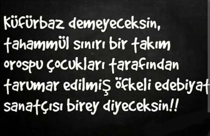 Küfür eden kadına tahammül eder misiniz , ben hiç katlanamıyorum?
