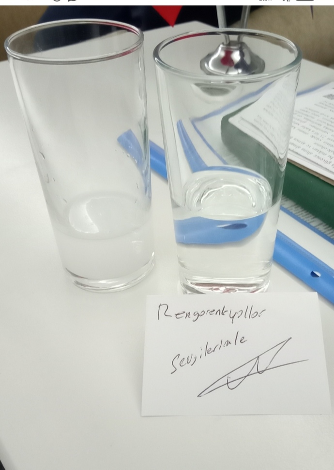 Sürprizleri severmisiniz?