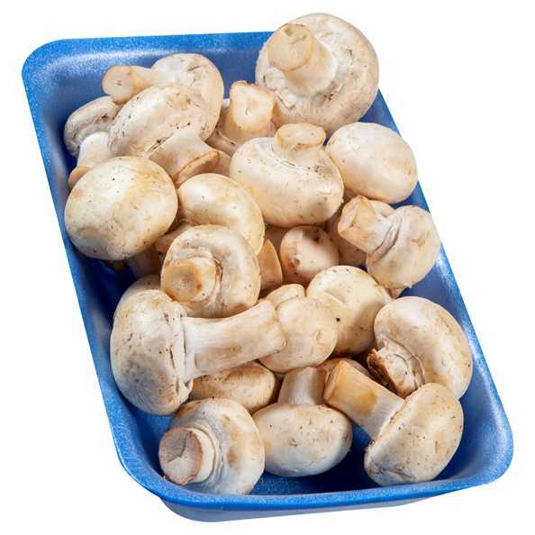Özel bölge mantarı nasıl geçer?