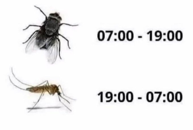 Vardiya sistemine hazır mıyız?