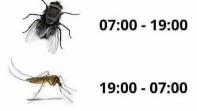 Vardiya sistemine hazır mıyız?