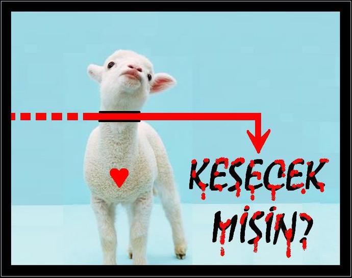 Kurban kesiyor musunuz yoksa farklı şekilde hayır mı işliyorsunuz?