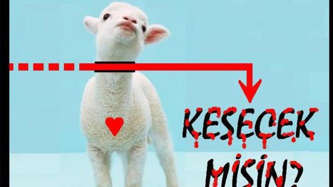 Kurban kesiyor musunuz yoksa farklı şekilde hayır mı işliyorsunuz?