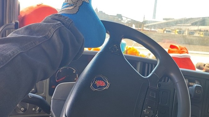 Keyfinize çok düşkün müsünüz?