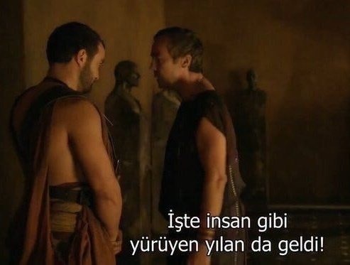 Çevrenizdeki yılanları tanıyor musunuz?