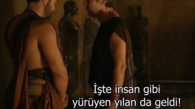 Çevrenizdeki yılanları tanıyor musunuz?