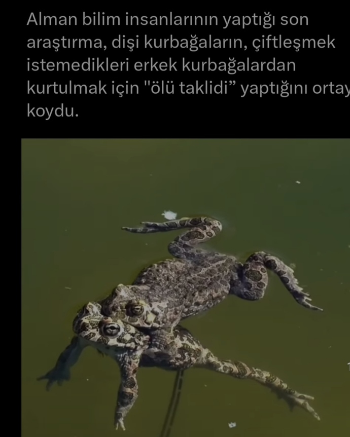 Cinsellikte ölü taklidi yapan partner soğuma sebebi midir?