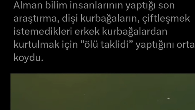 Cinsellikte ölü taklidi yapan partner soğuma sebebi midir?