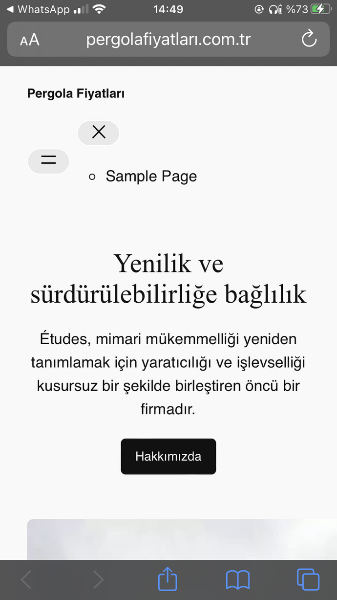 Web sitemde kurduğum tema görünmüyor?