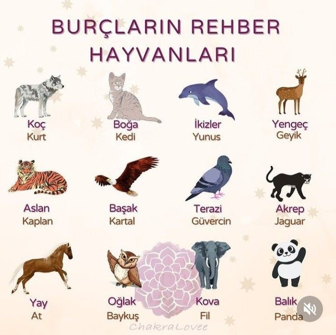 Senin burcunun rehber hayvanı hangisi?
