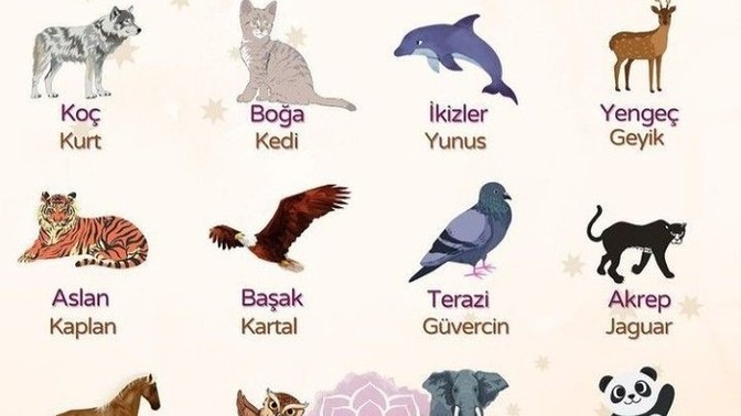 Senin burcunun rehber hayvanı hangisi?