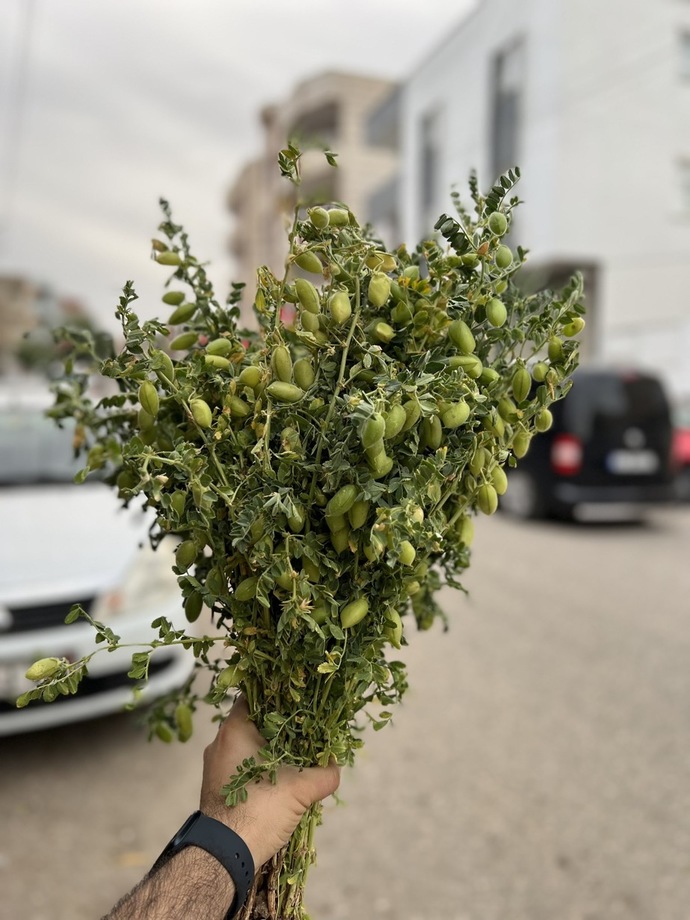 Bunu bilen var mı?