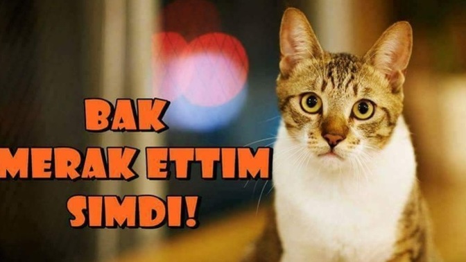 Kendini mükemmel sanan insanlar gerçekten mükemmel mi oluyor?