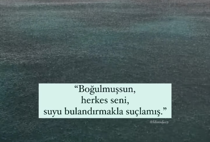 İnsanları delirme noktasına getirip delirince de bu deli demeye utanmaz mı insan bee?