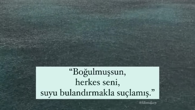 İnsanları delirme noktasına getirip delirince de bu deli demeye utanmaz mı insan bee?